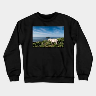 Mewstone Island and Dartmoor Pony Crewneck Sweatshirt